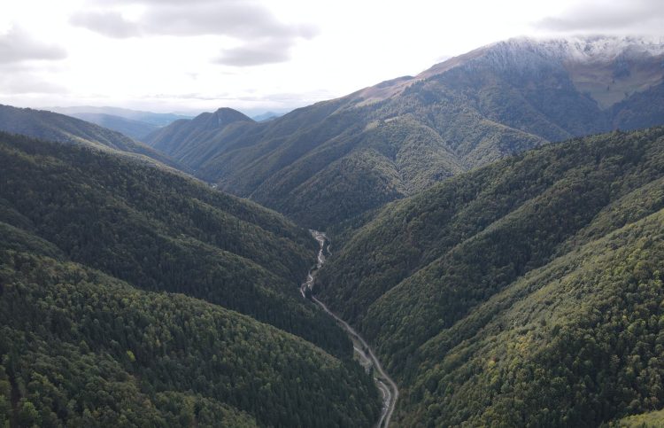 VIDEO: Parcul Natural Munții Maramureșului văzut din zbor!