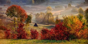 © foto: Stefan Bela Photography