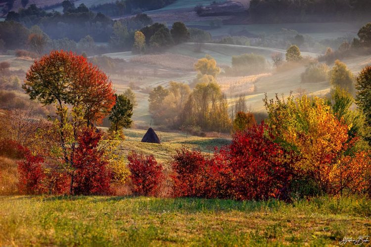 © foto: Stefan Bela Photography