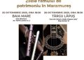 Zilele Filmului de Patrimoniu în Maramureș – ediția I, în Baia Mare și Târgu Lăpuș