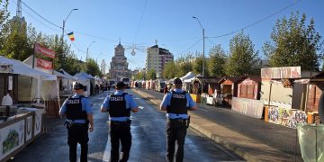 Raportul Poliției Locale Baia Mare, o poveste de adormit copiii!