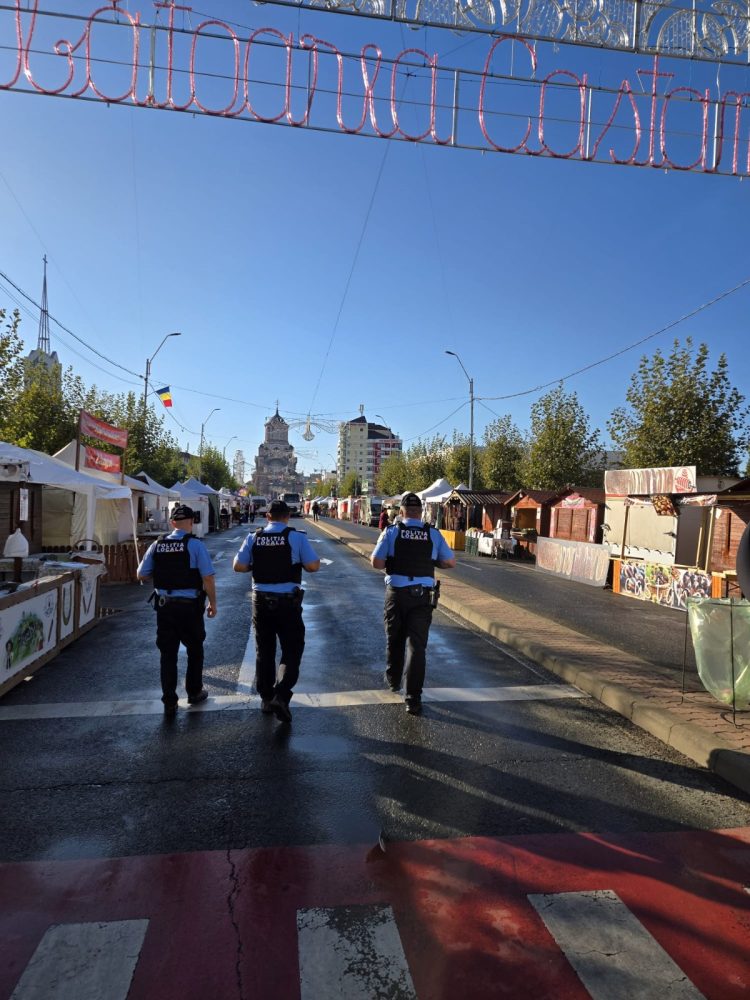 Raportul Poliției Locale Baia Mare, o poveste de adormit copiii!