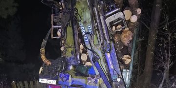 Transport ilegal de lemn, descoperit de polițiștii din Borșa. Camionul și materialul lemnos au fost confiscate – foto