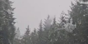 Viscol și ninsori pe DN18, în Pasul Prislop. Trafic rutier în condiții de iarnă