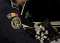 Pasager în „Uber” cu zeci de grame de cannabis în bagaj. Unde l-au oprit mascații
