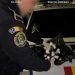 Pasager în „Uber” cu zeci de grame de cannabis în bagaj. Unde l-au oprit mascații