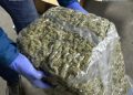 FOTO: 14 kilograme de canabis trimise din Spania în România cu o firmă de curierat. Cum le-au interceptat mascații