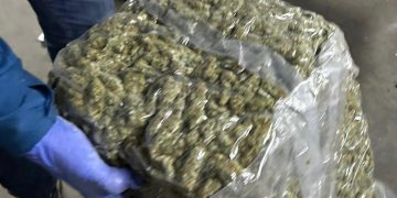 FOTO: 14 kilograme de canabis trimise din Spania în România cu o firmă de curierat. Cum le-au interceptat mascații