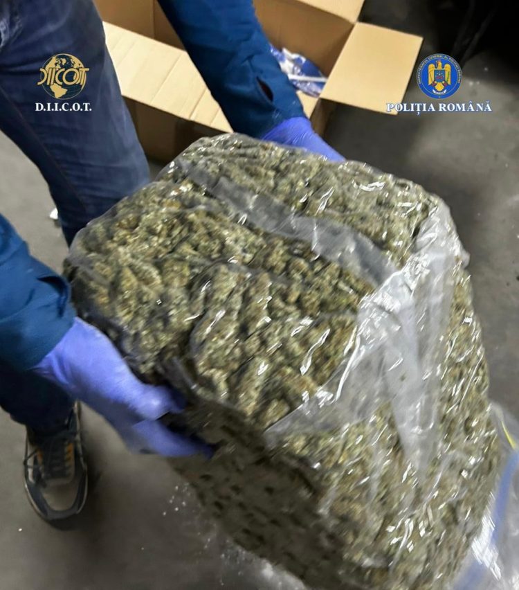 FOTO: 14 kilograme de canabis trimise din Spania în România cu o firmă de curierat. Cum le-au interceptat mascații