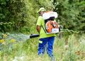 Deratizare împotriva rozătoarelor în Baia Mare, în perioada 6-19 octombrie