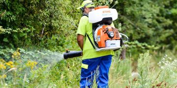 Deratizare împotriva rozătoarelor în Baia Mare, în perioada 6-19 octombrie