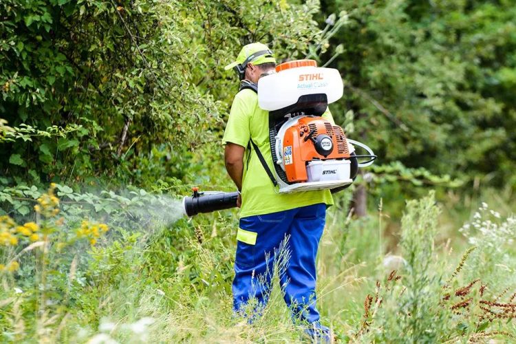 Deratizare împotriva rozătoarelor în Baia Mare, în perioada 6-19 octombrie