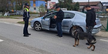 Verificări și controale efectuate în trafic de polițiști în Târgu Lăpuș