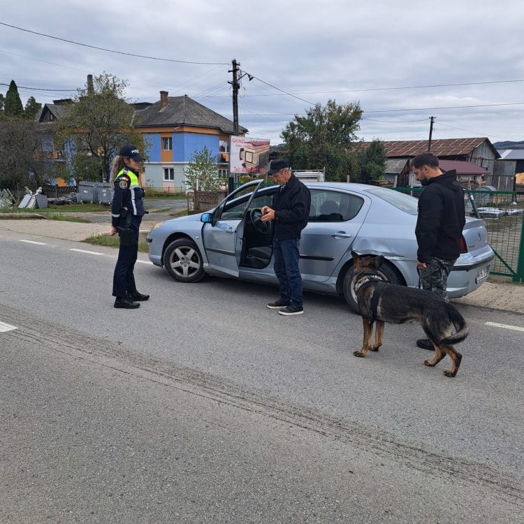 Verificări și controale efectuate în trafic de polițiști în Târgu Lăpuș
