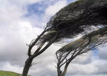 COD GALBEN de vânt puternic în Maramureș