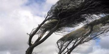 COD GALBEN de vânt puternic în Maramureș