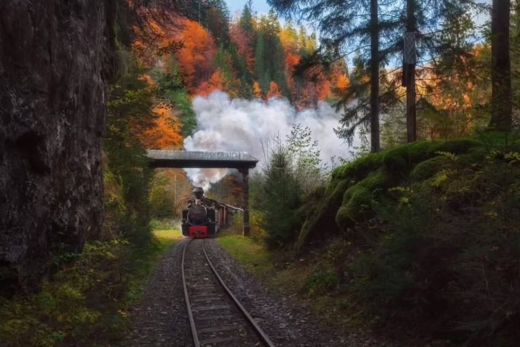 Photos credit: @alexrobciuc