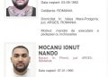 Manelistul Dani Mocanu și fratele lui au fost condamnați la închisoare cu executare.