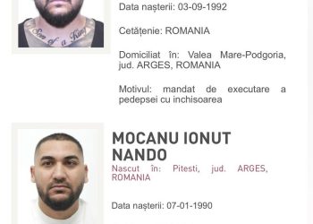 Manelistul Dani Mocanu și fratele lui au fost condamnați la închisoare cu executare.