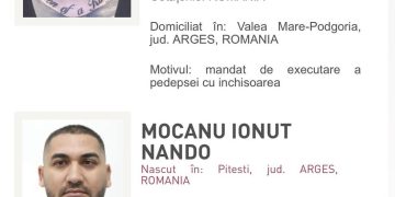 Manelistul Dani Mocanu și fratele lui au fost condamnați la închisoare cu executare.