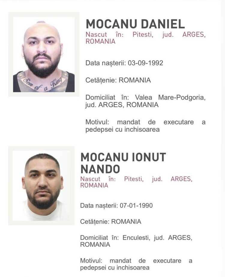 Manelistul Dani Mocanu și fratele lui au fost condamnați la închisoare cu executare.