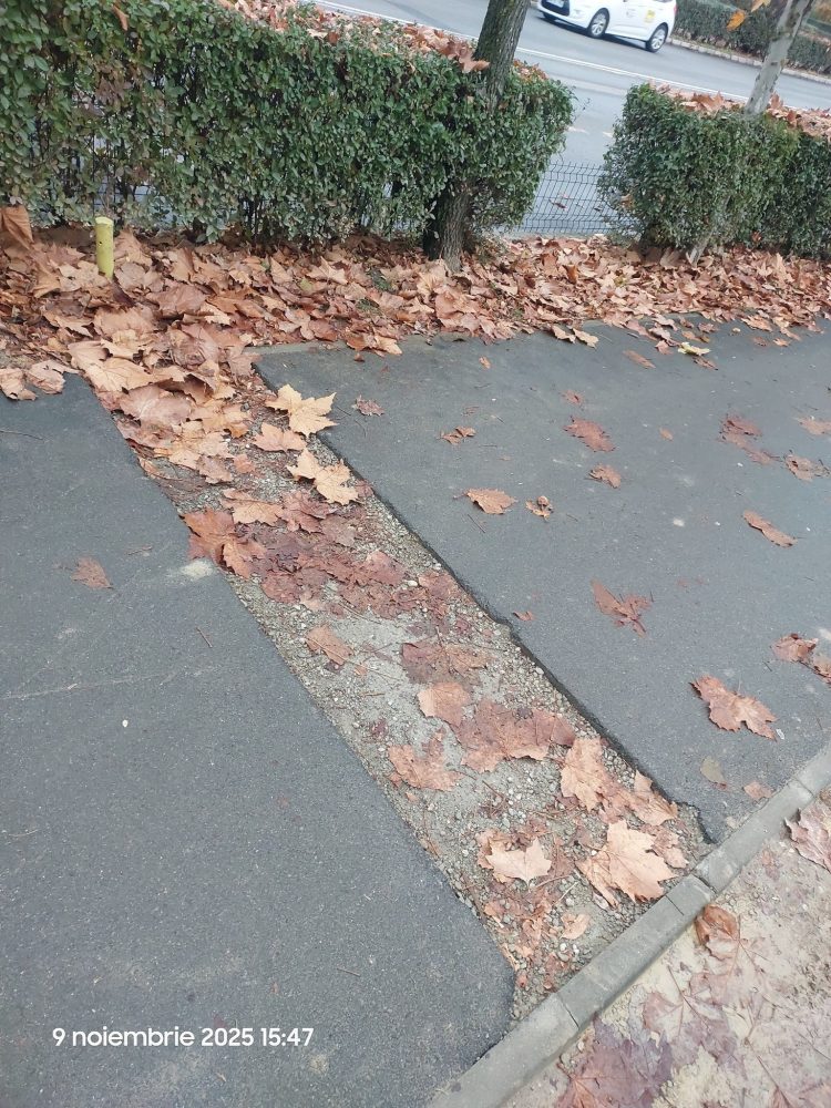 Primim de la băimăreni: „Las și eu asta aici, în speranța că poate se va rezolva….”