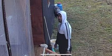 Atenţie! Un bărbat suspect intră în curţile locuitorilor din Săcălăşeni