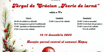 Lăpușul se pregătește să strălucească din nou în magia sărbătorilor!