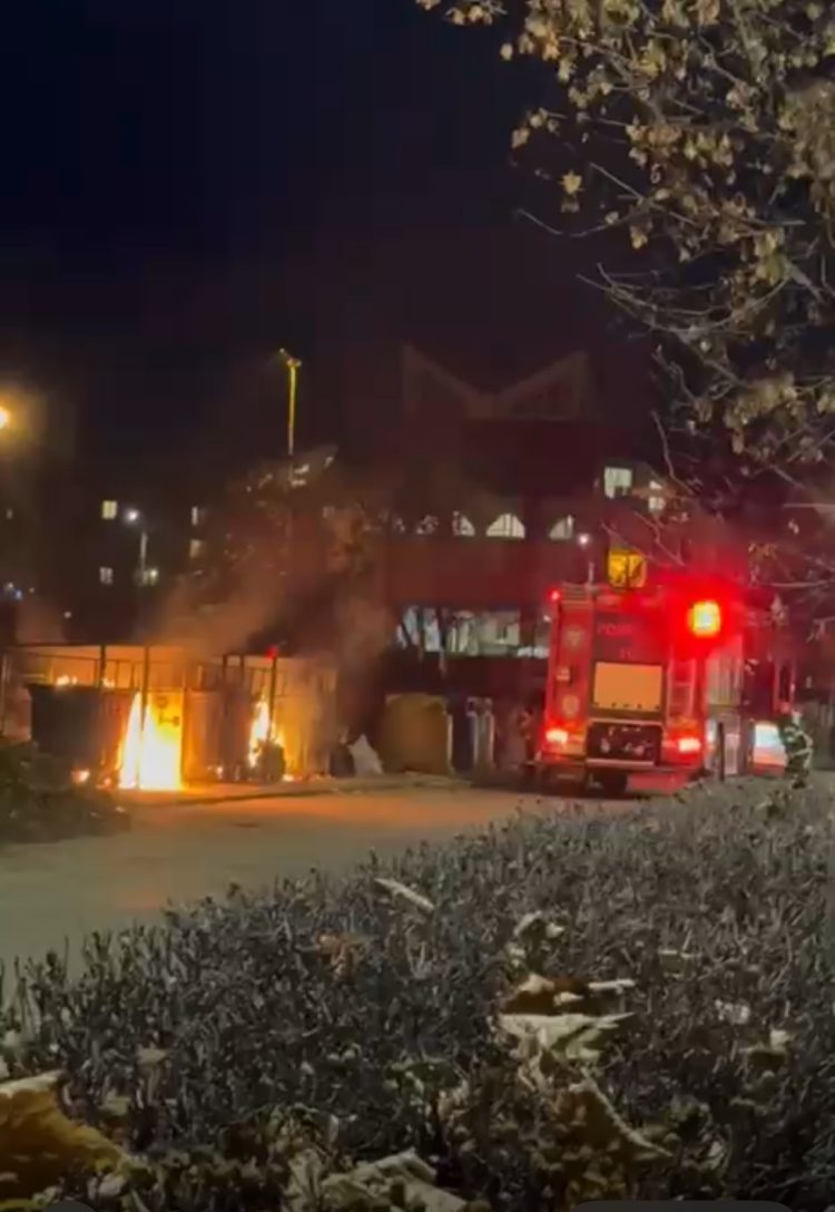 VIDEO: Incendiu de proporții. Ard tomberoanele ca niște torțe