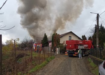 FOTO: Incendiu de proporții în Baia Sprie