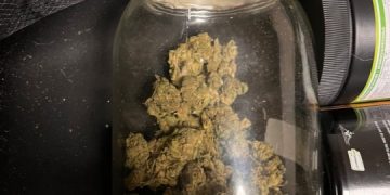 VIDEO: Descinderi la traficanții de droguri din Maramureș și Bistrița