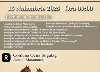 Gabriel Zetea: ”Se redeschide Târgul de animale din Ocna Șugatag. Consiliul Județean Maramureș readuce la viață tradiția târgurilor zootehnice”