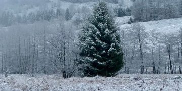 Cum se circulă pe drumurile din județ și cum va fi vremea de azi