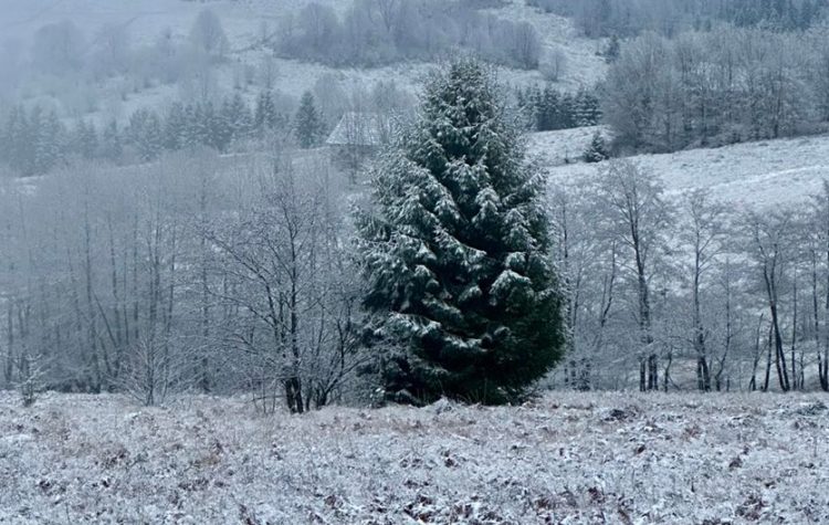 Cum se circulă pe drumurile din județ și cum va fi vremea de azi