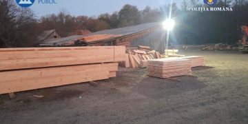 Mafia lemnului din Maramureș, sub lupa procurorilor. Tăieri ilegale, falsuri informatice și complicități silvice în cadrul Operațiunii Jupiter 4