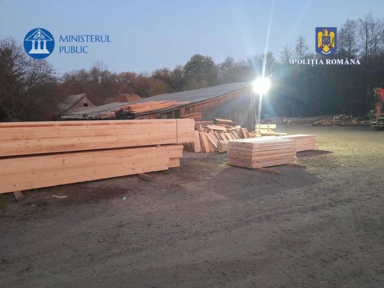 Mafia lemnului din Maramureș, sub lupa procurorilor. Tăieri ilegale, falsuri informatice și complicități silvice în cadrul Operațiunii Jupiter 4