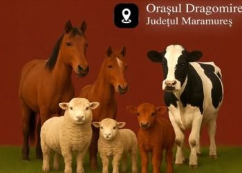 Expoziție de animale la Dragomirești, pe 15 decembrie, un eveniment dedicat crescătorilor și iubitorilor de animale