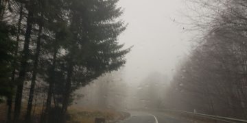 Cod Galben de ceață în Maramureș!