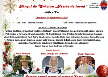 Lăpuș se îmbracă în magie: „Feerie de iarnă”, târgul de Crăciun care aduce tradiția, colindul și bucuria comunității