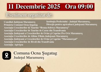 Expoziție de animale în Ocna Șugatag! Tradiția merge mai departe!