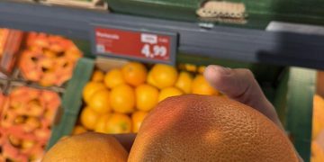 Șeful ANPC: Suntem bătaia de joc a importatorilor de citrice. Lămâile și portocalele din România sunt furaj animalier
