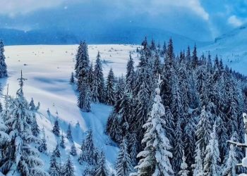 Iarna a sosit în Munții Rodnei. Culmi acoperite de zăpadă și peisaje de poveste