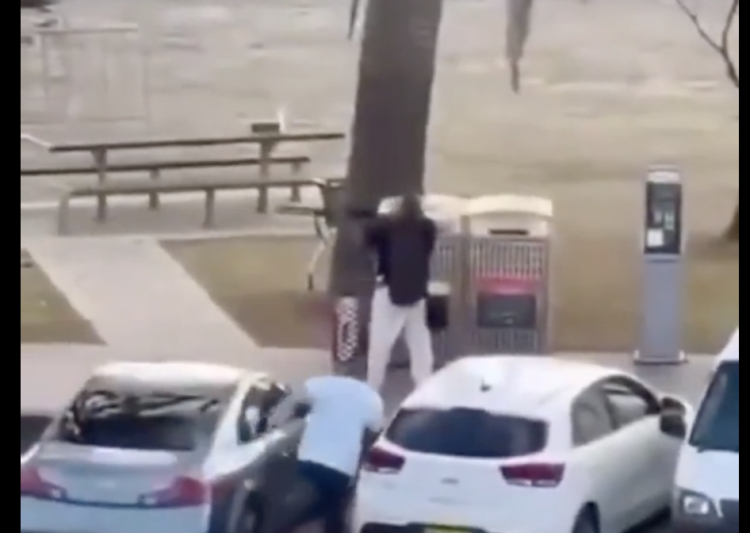 Teroare pe o plajă din Sidney, la un eveniment de Hanuka: 10 oameni uciși într-un atac armat. Eroul care l-a dezarmat pe atacator. VIDEO