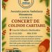 Concert de colinde caritabil, organizat la Baia Mare pentru salvarea nou-născuților