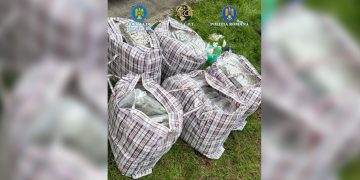 VIDEO: Cu drogurile în „paporniță”. La „inventar” au ieșit  37 de kilograme de canabis