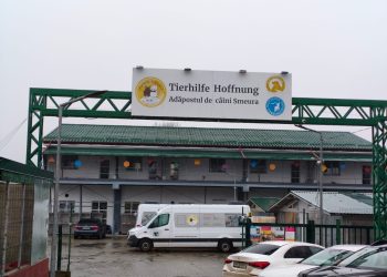 Smeura, „orașul câinilor”: Cel mai mare adăpost din lume pentru animale fără stăpân