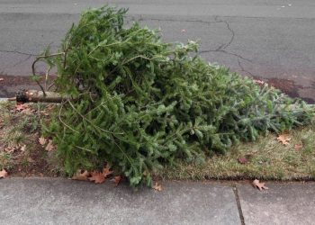 Ne place ideea de Crăciun, dar nu și consecințele ei!