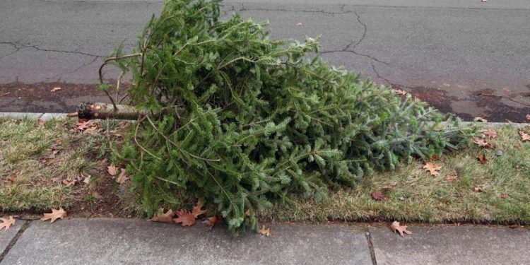 Ne place ideea de Crăciun, dar nu și consecințele ei!