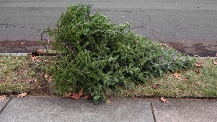 Ne place ideea de Crăciun, dar nu și consecințele ei!