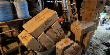 Descoperire uriașă la Coltău. 650 kg de materiale pirotehnice și o armă neautorizată, găsite în urma unei percheziții – video